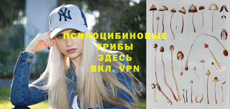 Псилоцибиновые грибы Magic Shrooms  Купино 